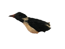 Vintage Inuit (?) or Chinese (?) Penguin (#2)  #1159