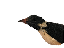 Vintage Inuit (?) or Chinese (?) Penguin (#2)  #1159