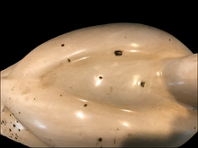 Antique Ceramic Duck Decoy  #1153
