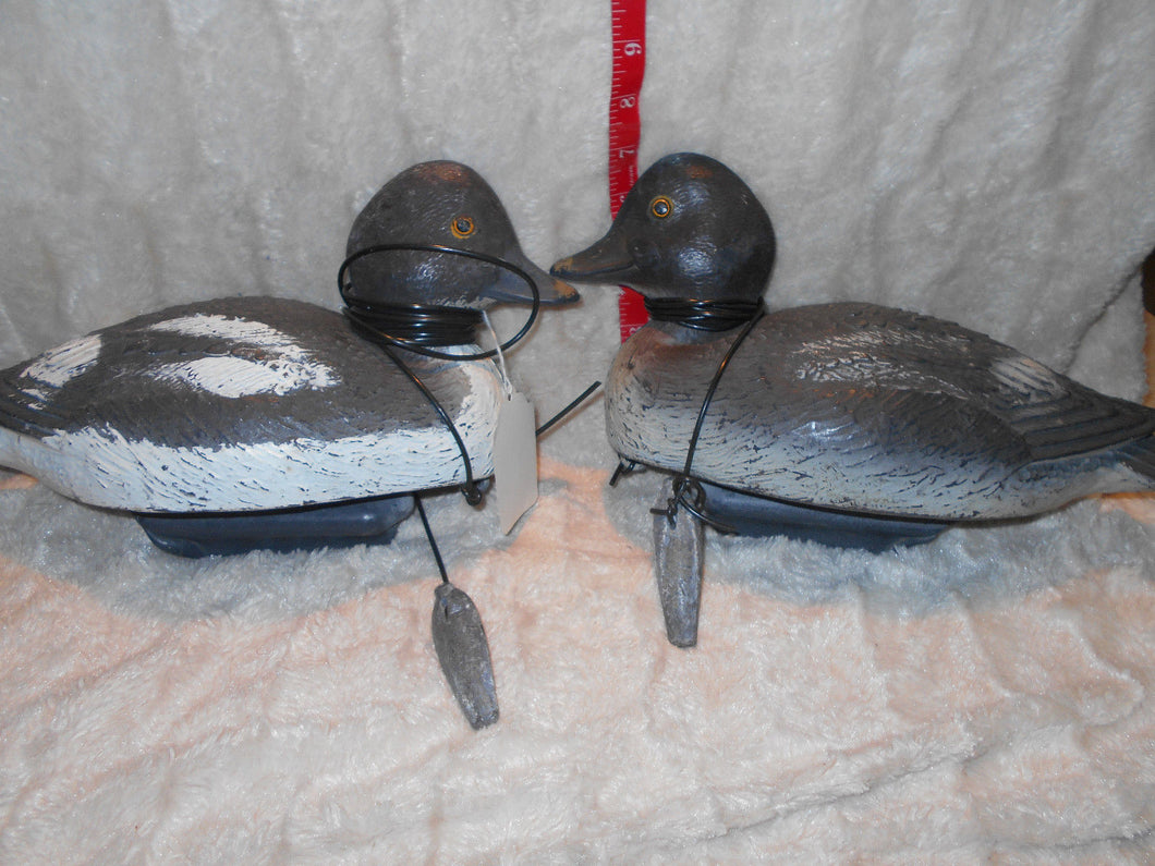 Vintage Pair of Italian Goldeneye Decoys With Weights #62