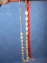 Vintage Cowrie Shell Necklace #13