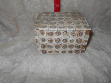 Vintage Seashell Trinket Box (821)