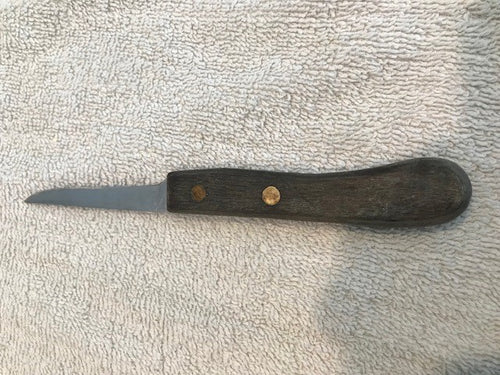 Vintage Wooden Handled Paring Knife #1085