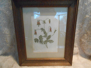 Vintage Hand-Etched & Colored "Flower Print" by Trombley - Framed (526)