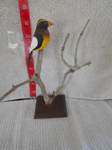 Vintage Hand-Carved & Painted Wooden Oriolle On A Tree With Base #114