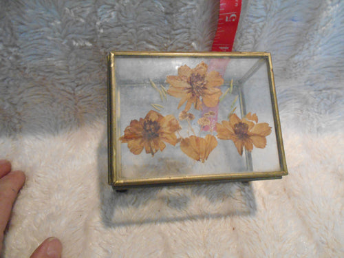 Vintage Brass, Glass & Pressed Flower Trinket Box (828)