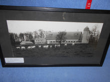 Vintage Photograph "It's Nice To See A Herd of Cattle Outside" - Framed (550)