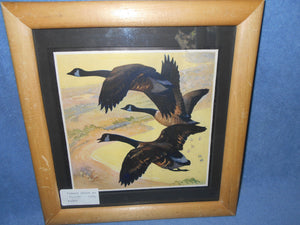 Vintage Print By Carl Burger "Geese In Flight" - Framed #2002