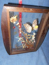 Vintage Butterfly & Dried Flower Diorama (504)