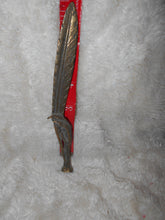 Vintage Brass Clawed, Feathered Letter Opener (59)