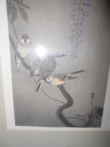 Print: "Song Birds" - Unframed (545)