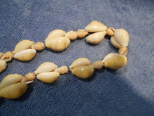 Vintage Cowrie Shell Necklace #13
