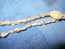 Vintage Cowrie Shell Necklace #13