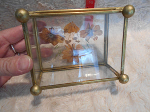 Vintage Brass, Glass & Pressed Flower Trinket Box (828)