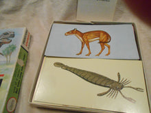 Vintage 1968 Teach-Me Prehistoric Animals Flash Cards (844)