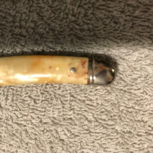 Vintage Pearlized Handled Jack Knife (497)