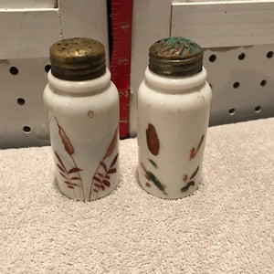 Vintage Porcelain Asian Hand Painted Salt & Pepper Shakers (409)