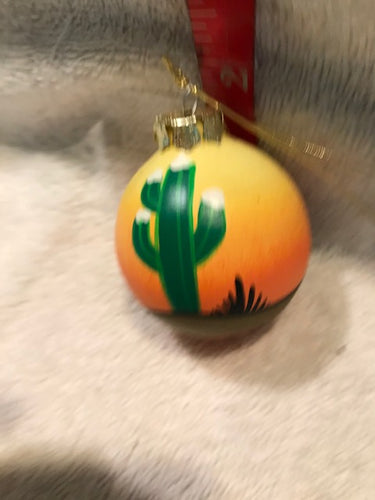 Pottery Arizona Christmas Ornament (42)